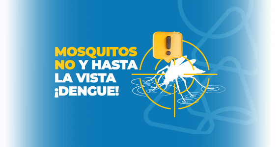   ¡Conoce aquí sobre todo para prevenir el dengue!