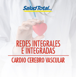 Cardio Cerebro Vascular